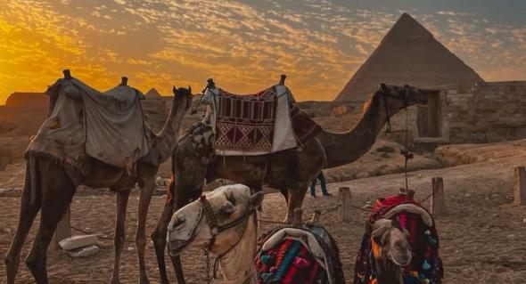 Египет – туристическая отрасль материка