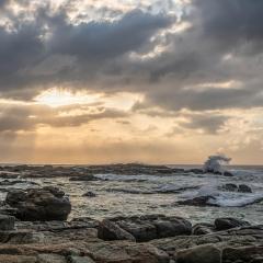 Бизнес-модель: B2B-производство в Африке с локальным сырьем