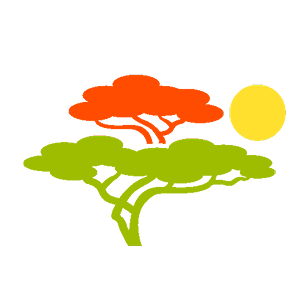 Подача заявки на лицензию